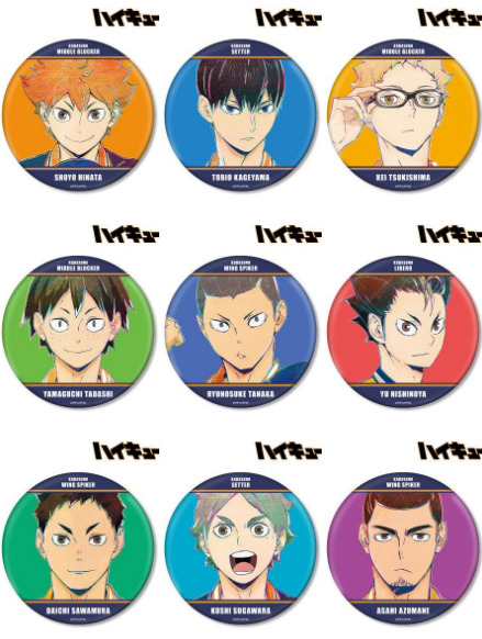 ハイキュー!! Ani-Art 第4弾 BIG缶バッジ